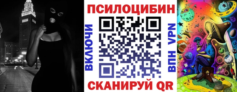 цена   Фрязино  Псилоцибиновые грибы Psilocybe 