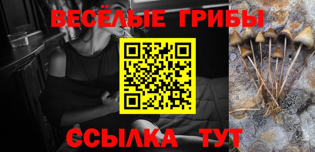 Галлюциногенные грибы ЛСД Фрязино