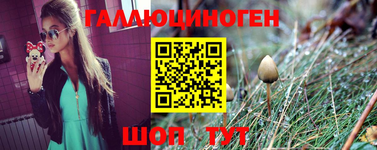 Фрязино  Псилоцибиновые грибы прущие грибы  купить наркотик  Вход с VPN 
