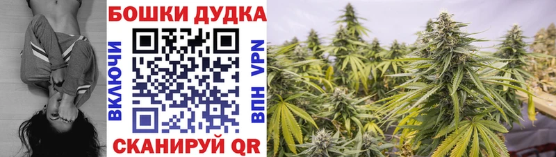 МАРИХУАНА марихуана  Фрязино 