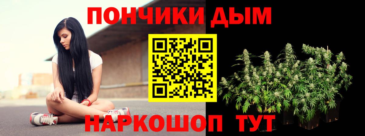 Фрязино  Бошки марихуана Amnesia  Вход с VPN  Канабис SATIVA & INDICA 